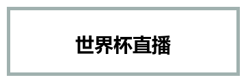 世界杯直播